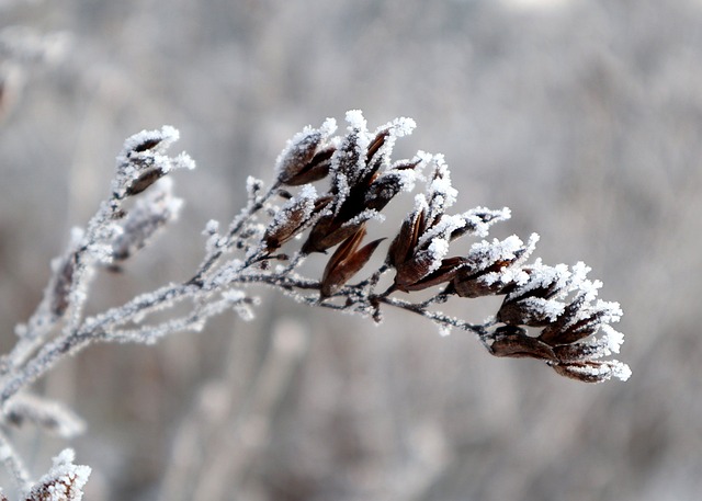 Quiz über die vier Jahreszeiten