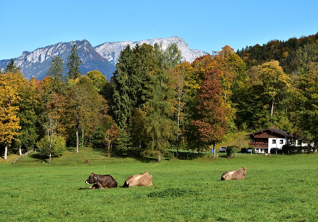 Bairisch für Anfänger