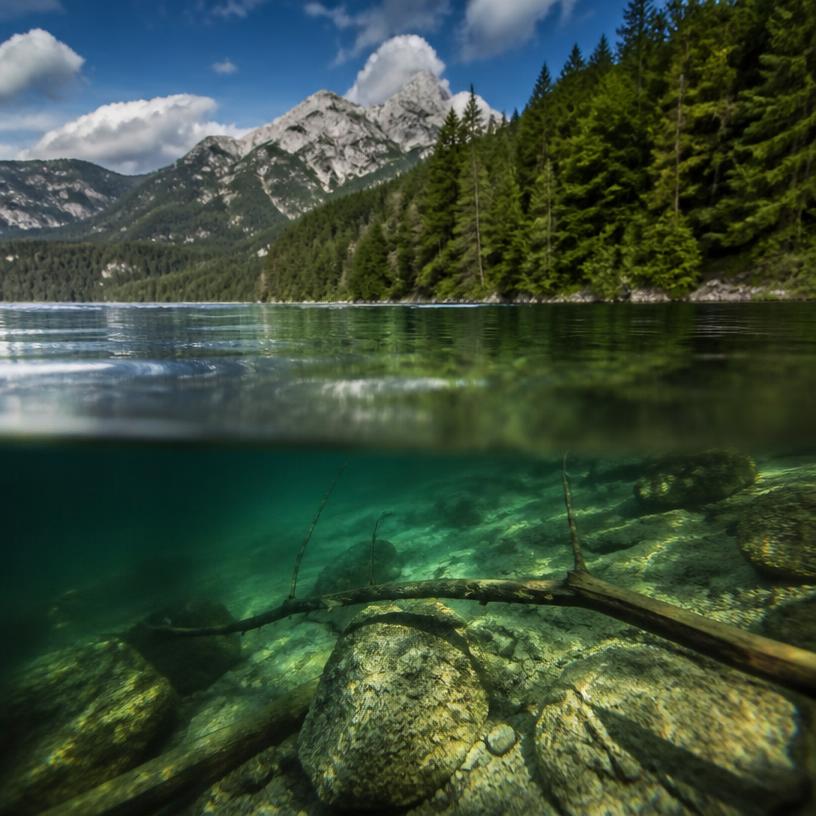 Geheimnisse der Wasserwelt