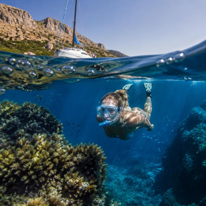 Abtauchen in die Unterwasserwelt!