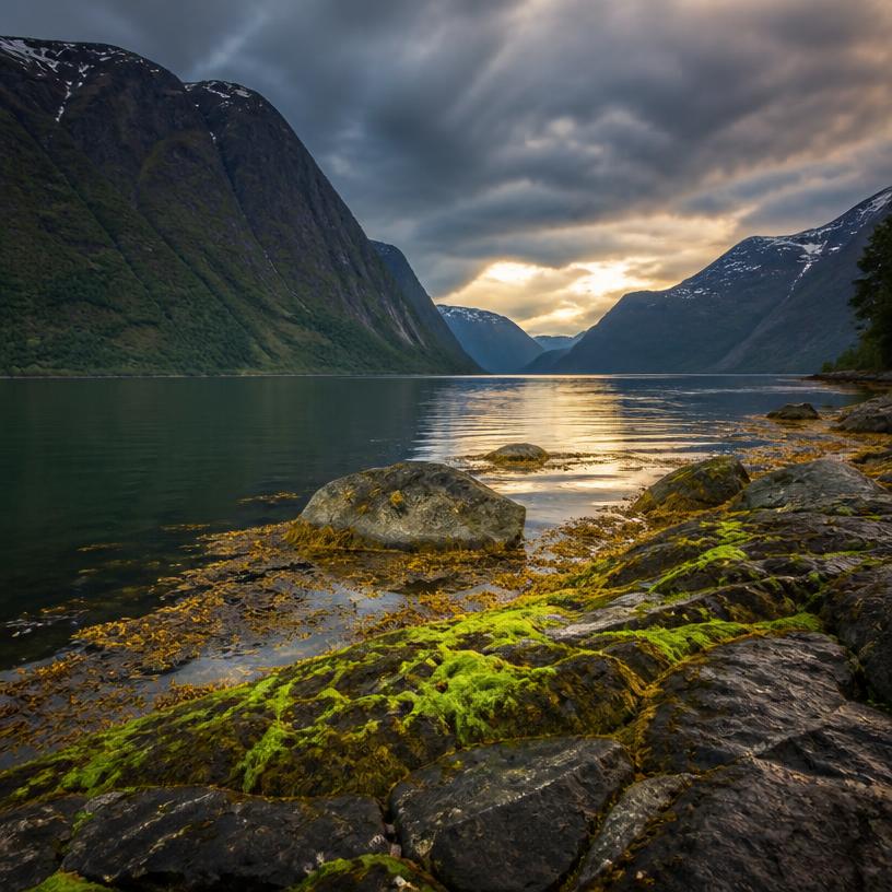 Fjordträume: Entdecke die verborgenen Schätze der Natur