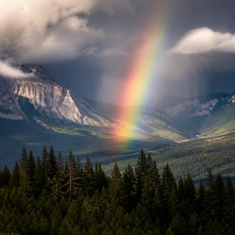 Die Geheimen Farben des Regenbogens